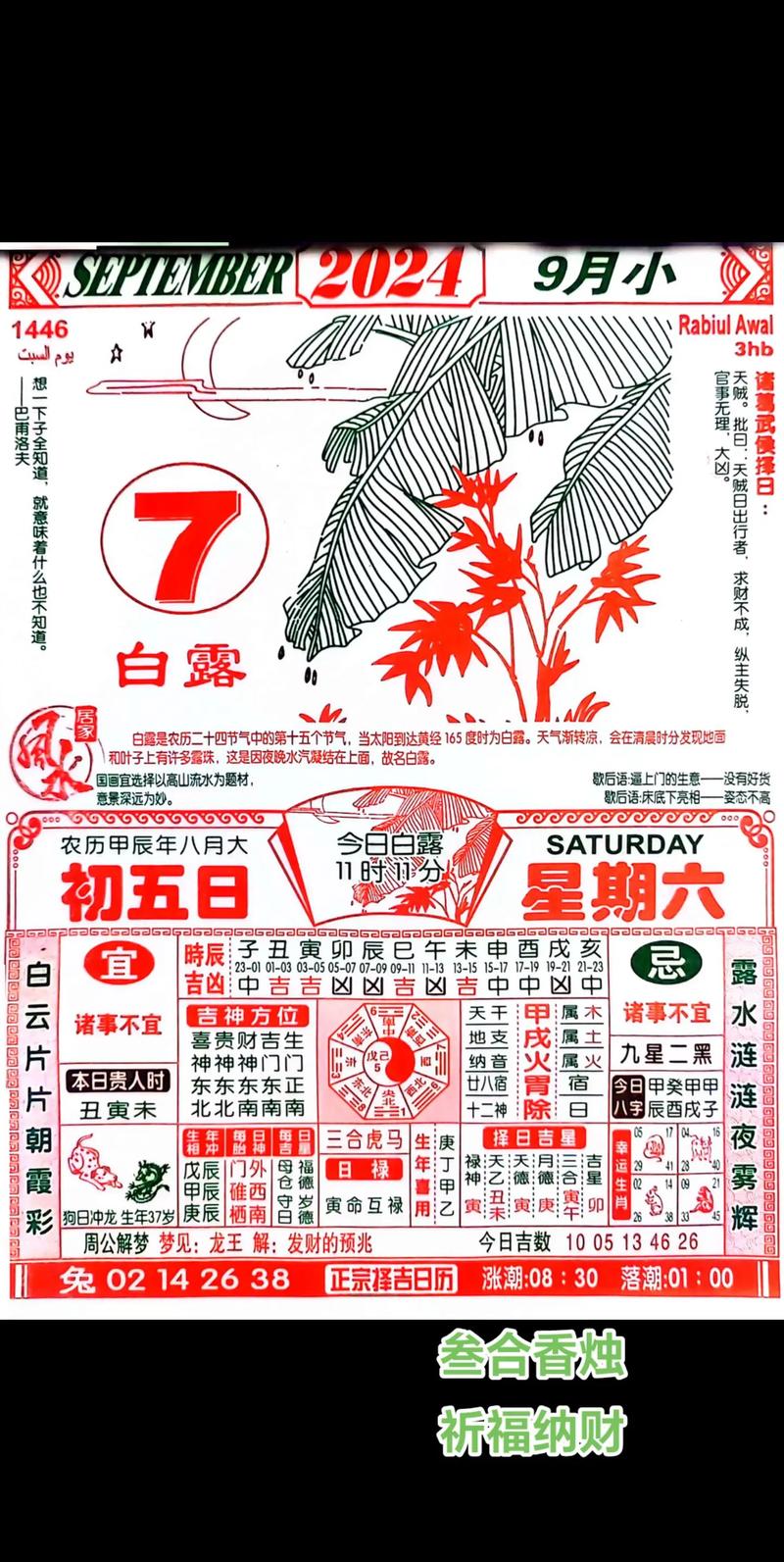 澳门正版资料大全蛇蛋图-2025全面解析实用技巧分享