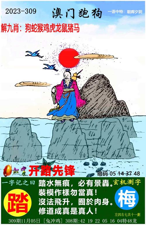 澳门今晚必中一肖一码准确9995澳门天天彩和新澳2025年正版最精准全面释义、专家解释与落实与警惕虚假宣传