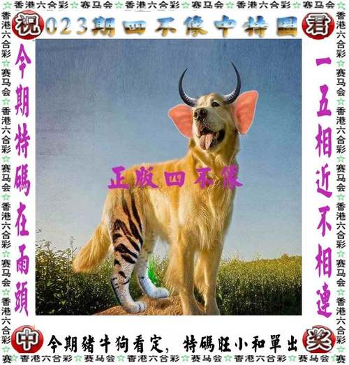 2024澳门今晚开奖号码,新澳门,2025全面解析实用技巧分享