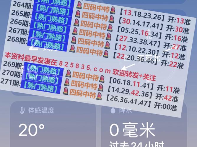 2024澳门资料大全正版资料免费1,精选释义、解释与落实与警惕虚假宣传