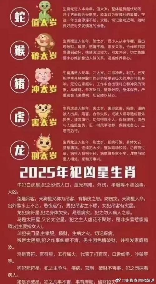2025一码一肖100准确r-2025全面解析实用技巧分享