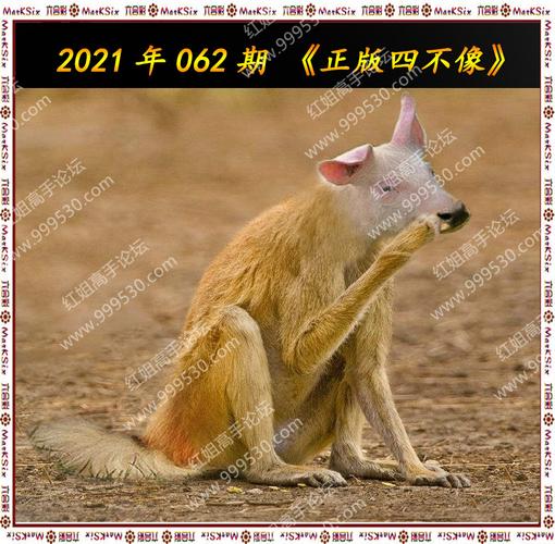 澳门最准四不像老版,风凰游戏网查询,2025年最新实用信息汇总指南