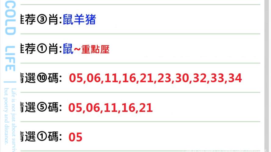 澳门一肖一码100精准蓝月亮,全面释义、专家解释与落实与警惕虚假宣传