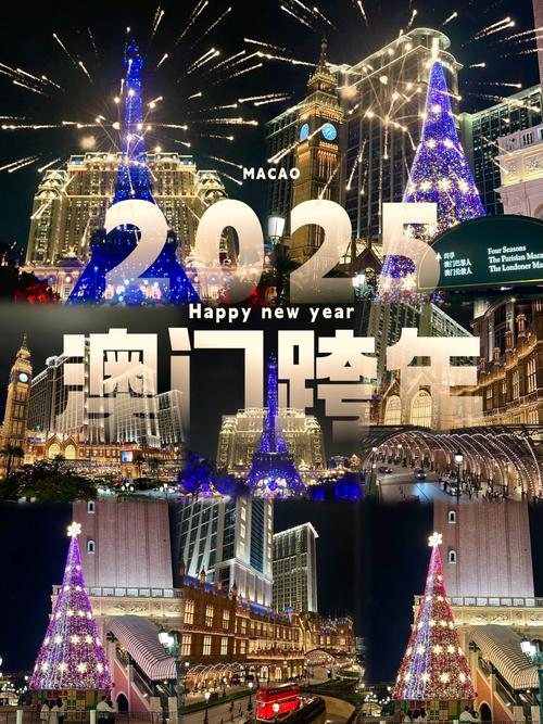 新澳门开奖2025记录查询结果,2025全面解析实用技巧分享
