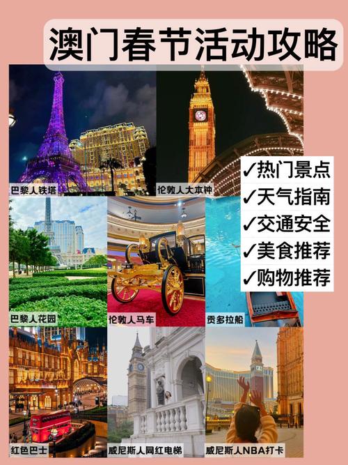 2025年新澳门全年免费,2025全面解析实用技巧分享