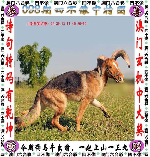 下载澳门六:和彩开奖2020,精选释义、解释与落实与警惕虚假宣传