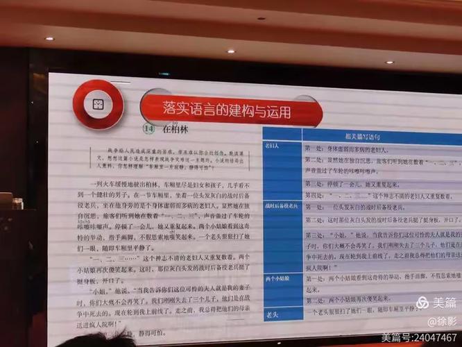 2025新澳门历史开奖结果,全面释义、专家解释与落实与警惕虚假宣传