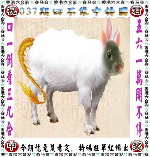2024今晚澳门开特马开49图与2024澳门特马今晚开奖现场实况全面释义、解释与落实与警惕虚假宣传