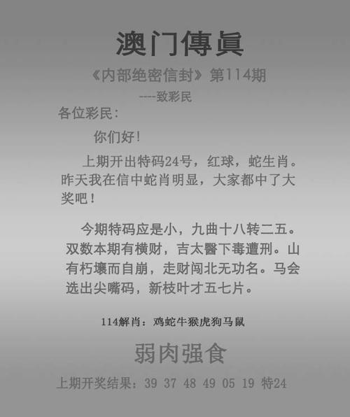 2024年新澳门正版资料大全完整版,精选释义、解释与落实与警惕虚假宣传