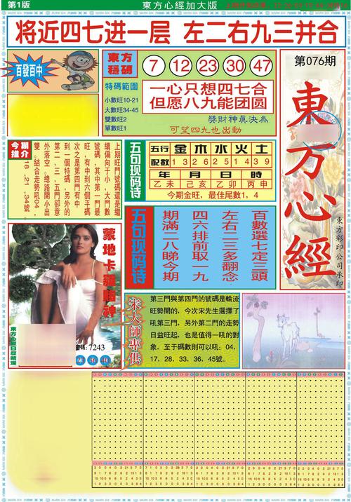 香港/澳门资料大全2024-2025全面解析实用技巧分享