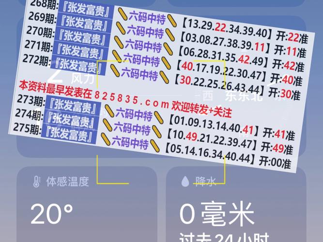 2024新澳门开奖结果查询查询,2025年最新实用信息汇总指南