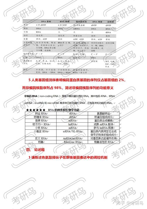 澳门管家婆100%精准,全面释义、解释与落实与警惕虚假宣传