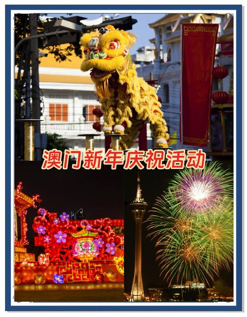 新澳800图库最新版本,2025全面解析实用技巧分享