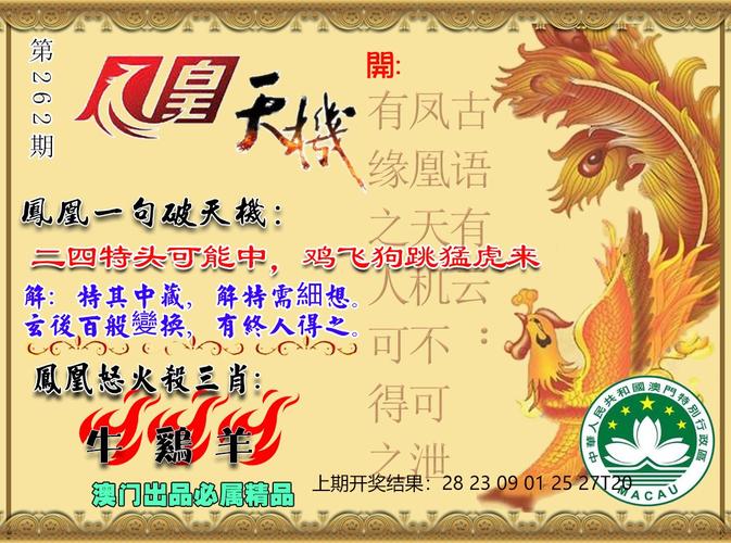 2004新澳门天天开好彩大全一,2025全面解析实用技巧分享