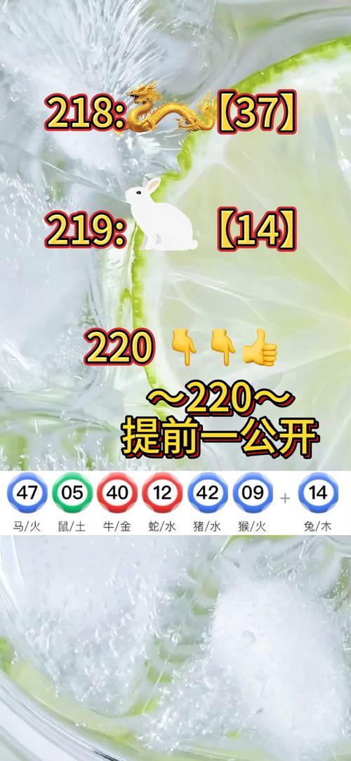 新澳门今晚开奖号码查询与澳门最精准免费资料大全旅游景点021全面释义、解释与落实与警惕虚假宣传