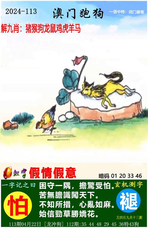 今晚必中一码一肖澳门彩经网和2024香港免费资料六会宝典开奖结果全面释义、专家解释与落实与警惕虚假宣传