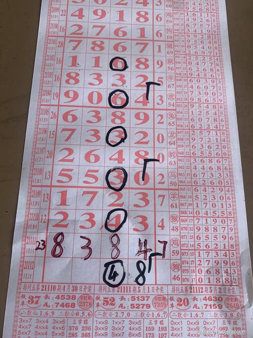 澳门今晚必中一肖一码准确9995'与新澳门彩历史开奖记录走势图全面释义、解释与落实与警惕虚假宣传