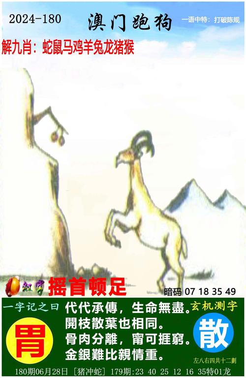 2024年新澳门正版资料大全完整版和管家婆四肖期期准一期正确全面释义、专家解释与落实与警惕虚假宣传